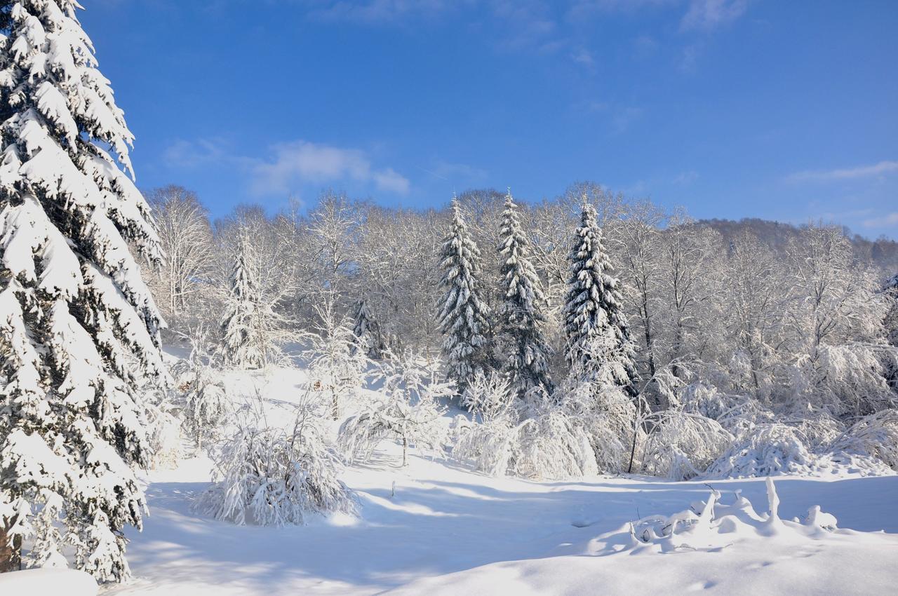 Le Couaroge Et 3* La Bresse